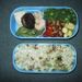 050310弁当